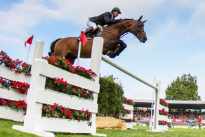 Board Certified Specialist Allyson Hughes: Expert in Equine Asset Division and Florida Horse Law.